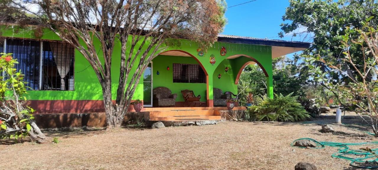 Hospedaje Tropical Dreams South End Buitenkant foto